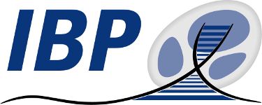 IBP